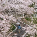 杭州旅游 缩略图 1