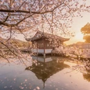 杭州旅游 缩略图 3