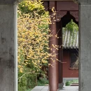 杭州旅游 缩略图 13