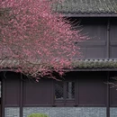 杭州旅游 缩略图 17