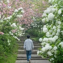 杭州旅游 缩略图 12