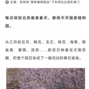 北京旅游 缩略图 4