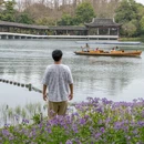 杭州旅游 缩略图 17