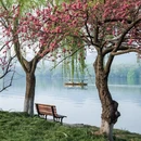 杭州旅游 缩略图 16