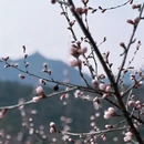 北京旅游 缩略图 5