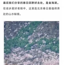 北京旅游 缩略图 10