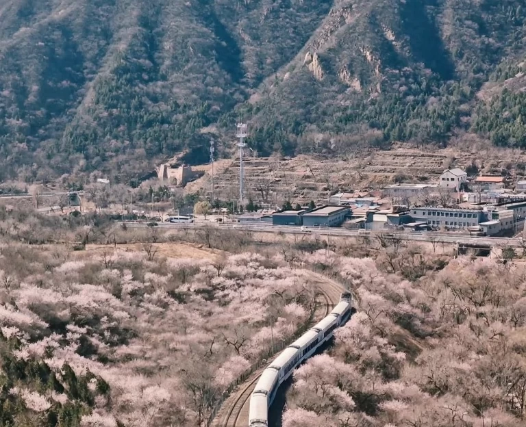 北京旅游 1