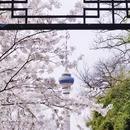 北京旅游 缩略图 10