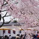 北京旅游 缩略图 8