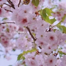 北京旅游 缩略图 12