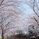 北京旅游 缩略图 13