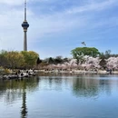 北京旅游 缩略图 11