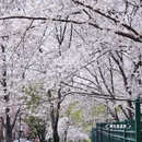 北京旅游 缩略图 9