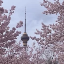 北京旅游 缩略图 3