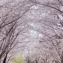 北京旅游 缩略图 1