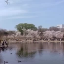 北京旅游 缩略图 5