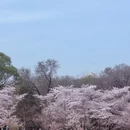 北京旅游 缩略图 2