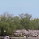 北京旅游 缩略图 10