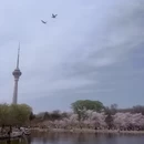 北京旅游 缩略图 6