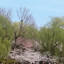 北京旅游 缩略图 9