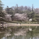 北京旅游 缩略图 11
