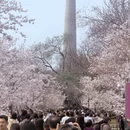 北京旅游 缩略图 7