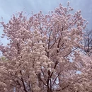 北京旅游 缩略图 12