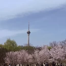 北京旅游 缩略图 16