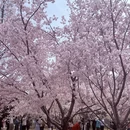 北京旅游 缩略图 18