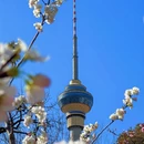 北京旅游 缩略图 2