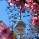 北京旅游 缩略图 1