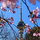 北京旅游 缩略图 8