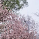 北京旅游 缩略图 4