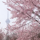 北京旅游 缩略图 2