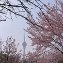 北京旅游 缩略图 6