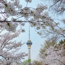 北京旅游 缩略图 4
