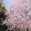 北京旅游 缩略图 1