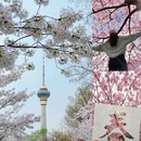 北京旅游 缩略图 1