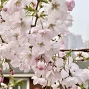 北京旅游 缩略图 5