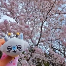 北京旅游 缩略图 9