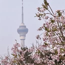 北京旅游 缩略图 3