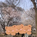 北京旅游 缩略图 2