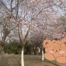 北京旅游 缩略图 3