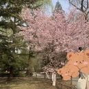 北京旅游 缩略图 1