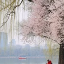 北京旅游 缩略图 2