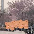 北京旅游 缩略图 7