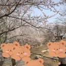 北京旅游 缩略图 4