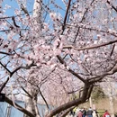 北京旅游 缩略图 1