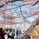 北京旅游 缩略图 4