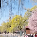北京旅游 缩略图 2